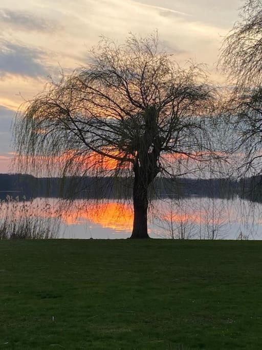 Ferien Am Grossen Wuensdorfer See ซอสเซน ภายนอก รูปภาพ
